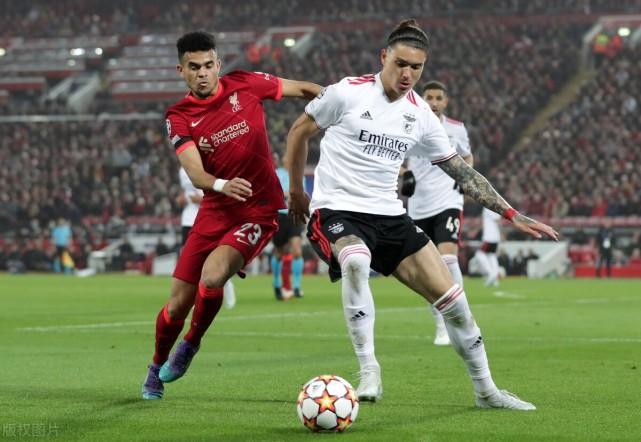 morocco national football team vs portugal national football team player ratings icon